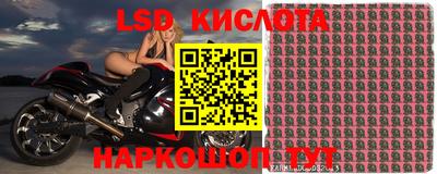 СК Партизанск