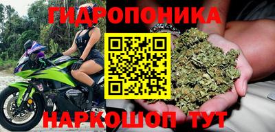 каннабис Пенза