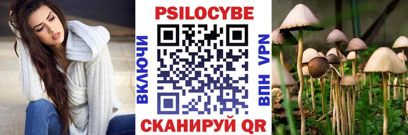 Купить где  Сафоново  Псилоцибиновые грибы Psilocybe 