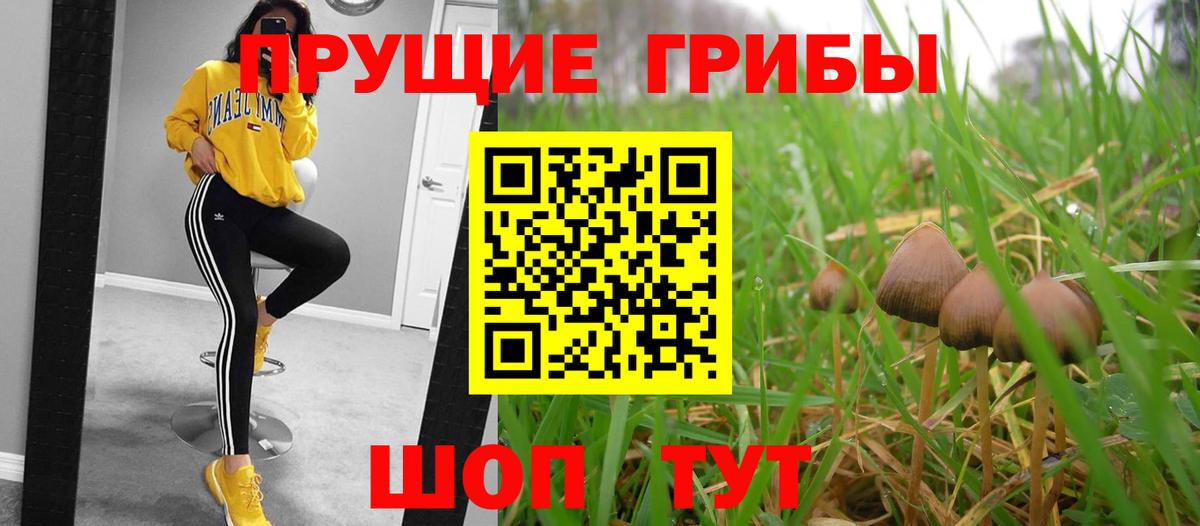 Псилоцибиновые грибы MAGIC MUSHROOMS Сафоново