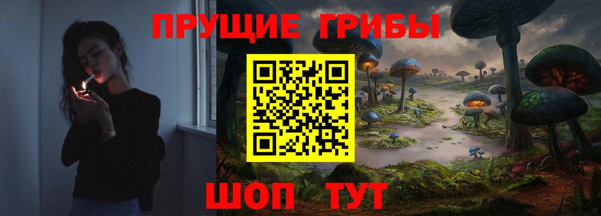 Псилоцибиновые грибы Psilocybine cubensis  Вход с VPN  купить наркотик  Сафоново 